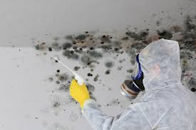 Best Residential Mold Inspection & Testing  in Apple Creek, OH